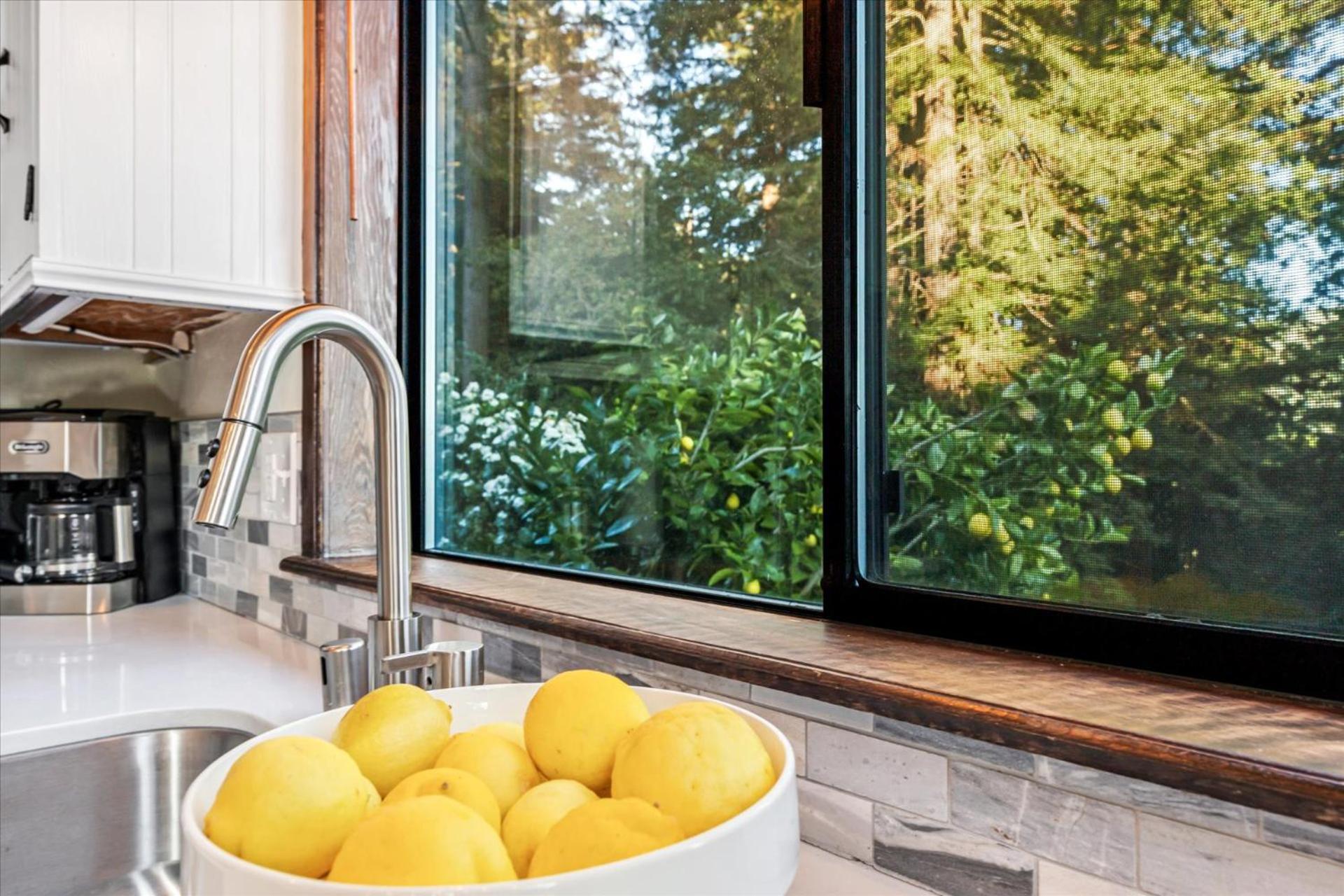 Magic Mountain Manor - Spacious Mountain Retreat Cazadero Exterior foto